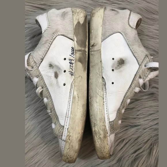 Golden goose - Picture 4 of 8